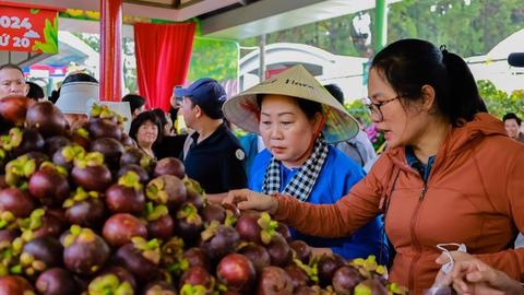 Lễ hội trái cây Nam bộ 2025