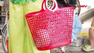 Sống xanh từ chợ quê