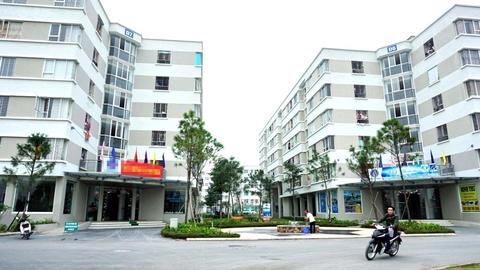 Kinh tế tiêu dùng ngày 10/6/2025