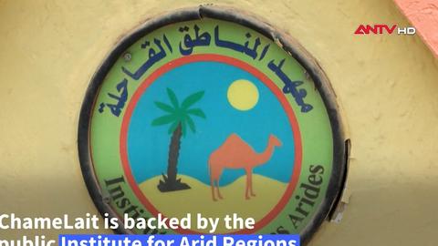 Tunisia khai thác tiềm năng sữa lạc đà để phát triển du lịch