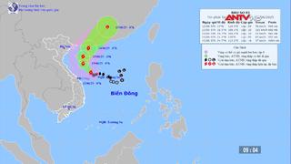 Diễn biến bão số 1