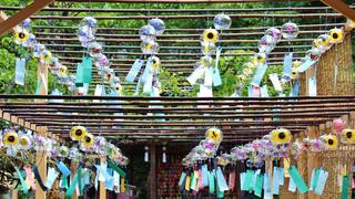 Lễ hội chuông gió ở Nhật Bản