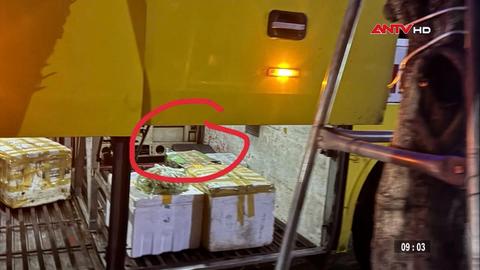 Chi cục Hải quan khu vực IX triệt phá 4 vụ, thu giữ 30 kg cần sa