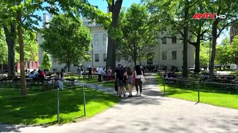 Đại học Harvard công bố phương án hỗ trợ sinh viên quốc tế