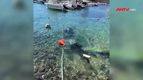 Con tàu thế kỷ 18 được tìm thấy ở Croatia