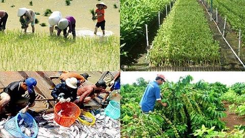 Từ 1/7, nâng hạn mức vay vốn không cần thế chấp với hộ kinh doanh