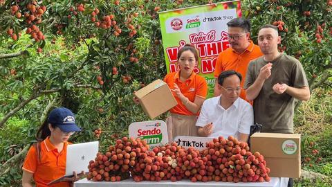 An ninh toàn cảnh ngày 04/7/2025