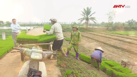 Vì mục tiêu phát triển bền vững