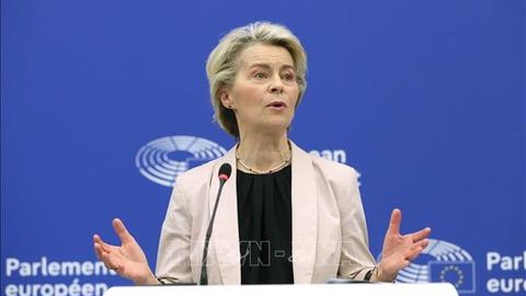 Thuế quan của Mỹ: EU tìm cách đa dạng hóa quan hệ thương mại