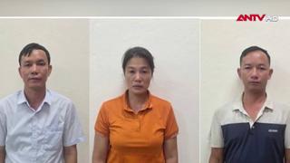 Khởi tố Chủ tịch HĐQT, Giám đốc Công ty Hoành Bồ