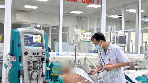 Bệnh liên cầu lợn lây sang người có dấu hiệu gia tăng
