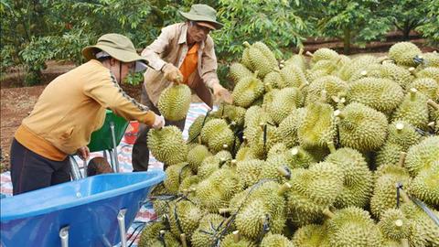 Kinh tế tiêu dùng ngày 14/7/2025