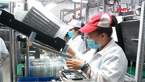 Đề xuất quy định về miễn thuế với doanh nghiệp chuyển đổi từ hộ, cá nhân kinh doanh