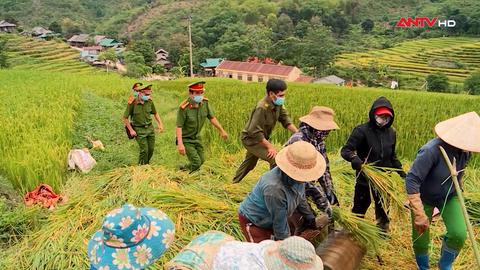 Giữa những nhịp thở bình yên