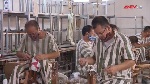 Những con chữ thức tỉnh lương tri