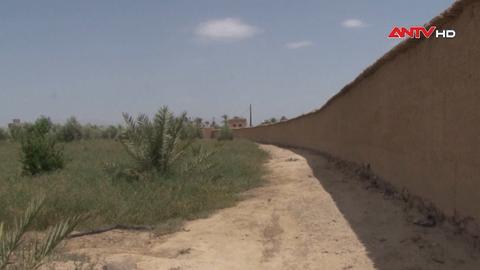 Maroc nỗ lực ngăn tình trạng sa mạc hóa