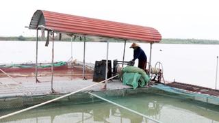 Đảm bảo an toàn đê điều ứng phó bão số 3 và mưa lũ