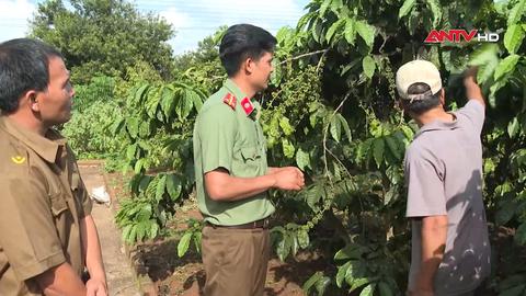 Lực lượng an ninh trật tự ở cơ sở bảo vệ bình yên buôn làng