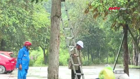 Các khu du lịch tỉnh Ninh Bình chủ động ứng phó bão số 3