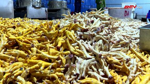 Nguy hại chân gà "ngậm" hoá chất