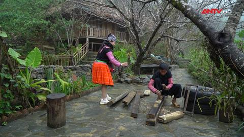Hành trình trở về