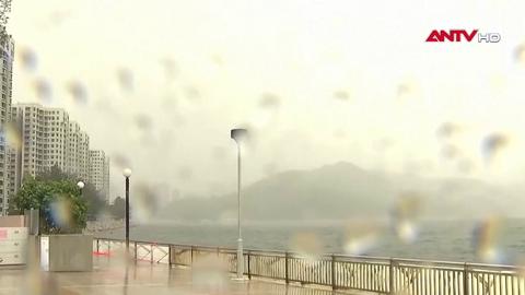 Hong Kong (Trung Quốc) thiệt hại nặng do bão Wipha 
