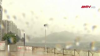 Hong Kong (Trung Quốc) thiệt hại nặng do bão Wipha