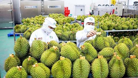 Tôm, cà phê và sầu riêng kéo thị trường nông sản tháng 7 sôi động