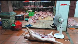 Phát hiện cơ sở giết mổ lợn nhiễm dịch tả lợn châu Phi