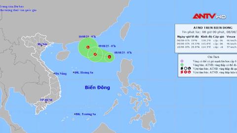Sẵn sàng ứng phó với áp thấp nhiệt đới trên Biển Đông