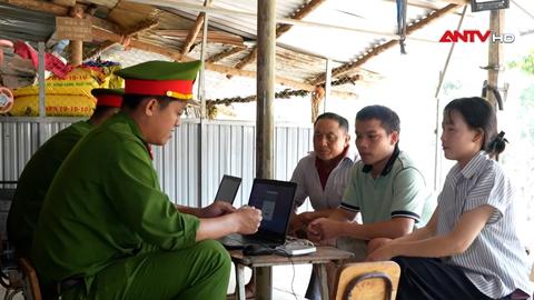 113 Online ngày 08/8/2025