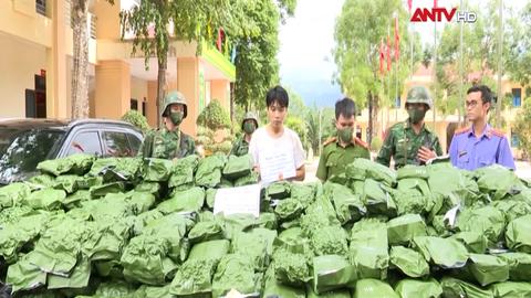 Bắt đối tượng vận chuyển 240kg cần sa vào nội địa
