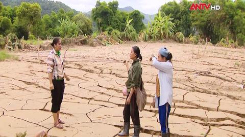Kinh tế tiêu dùng ngày 12/8/2025