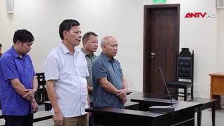 Tuyên án vụ chuyển nhượng quyền sử dụng đất rừng phòng hộ trái pháp luật