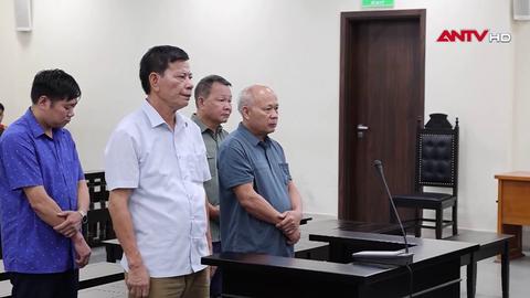 Tuyên án vụ chuyển nhượng quyền sử dụng đất rừng phòng hộ trái pháp luật