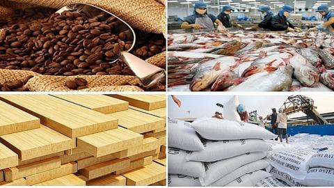 Nông sản hướng tới mục tiêu xuất khẩu 70 tỷ USD