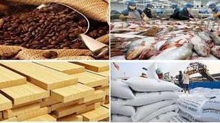 Nông sản hướng tới mục tiêu xuất khẩu 70 tỷ USD