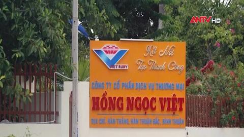 Khám xét 130 công ty, bắt Tuấn Khang Nông và 2 giám đốc ở TP.HCM, Lâm Đồng