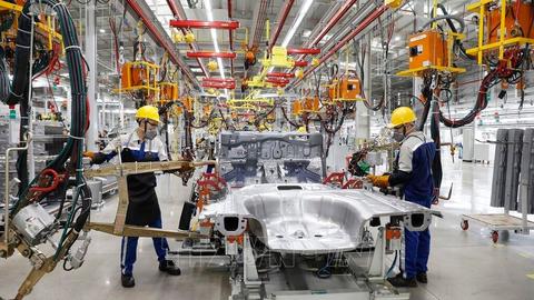 Từ ngày 05/01/2026, sẽ tiến hành tổng điều tra kinh tế