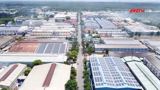 Doanh nghiệp Việt đứng trước thách thức năng lượng tái tạo