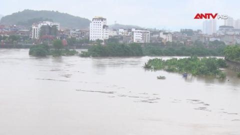113 Online ngày 28/8/2025