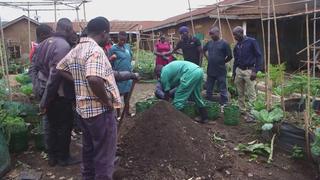 Uganda: Sáng kiến nông nghiệp đô thị giải quyết tình trạng thất nghiệp