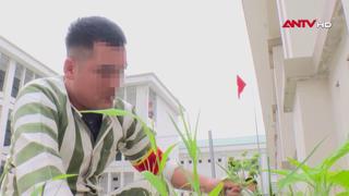 Niềm vui chờ ngày đặc xá
