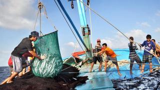 Thủy sản Việt Nam hướng tới mục tiêu phát triển bền vững 