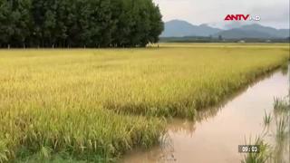 Lâm Đồng khẩn trương khắc phục hậu quả do mưa lũ