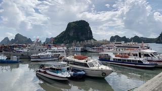 Đề phòng bão số 7, Quảng Ninh tạm ngừng cấp phép tàu ra khơi