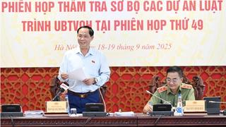 Hoàn thiện hệ thống pháp luật về an ninh, trật tự trong tình hình mới