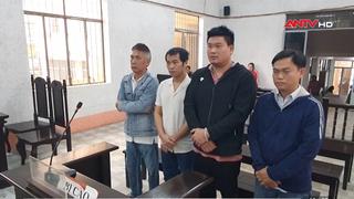 Xét xử nhóm đối tượng dùng hóa chất độc hại sản xuất giá đỗ