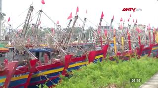 Các địa phương chủ động ứng phó bão