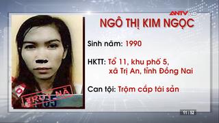 Truy nã 2 đối tượng tội trộm cắp tài sản